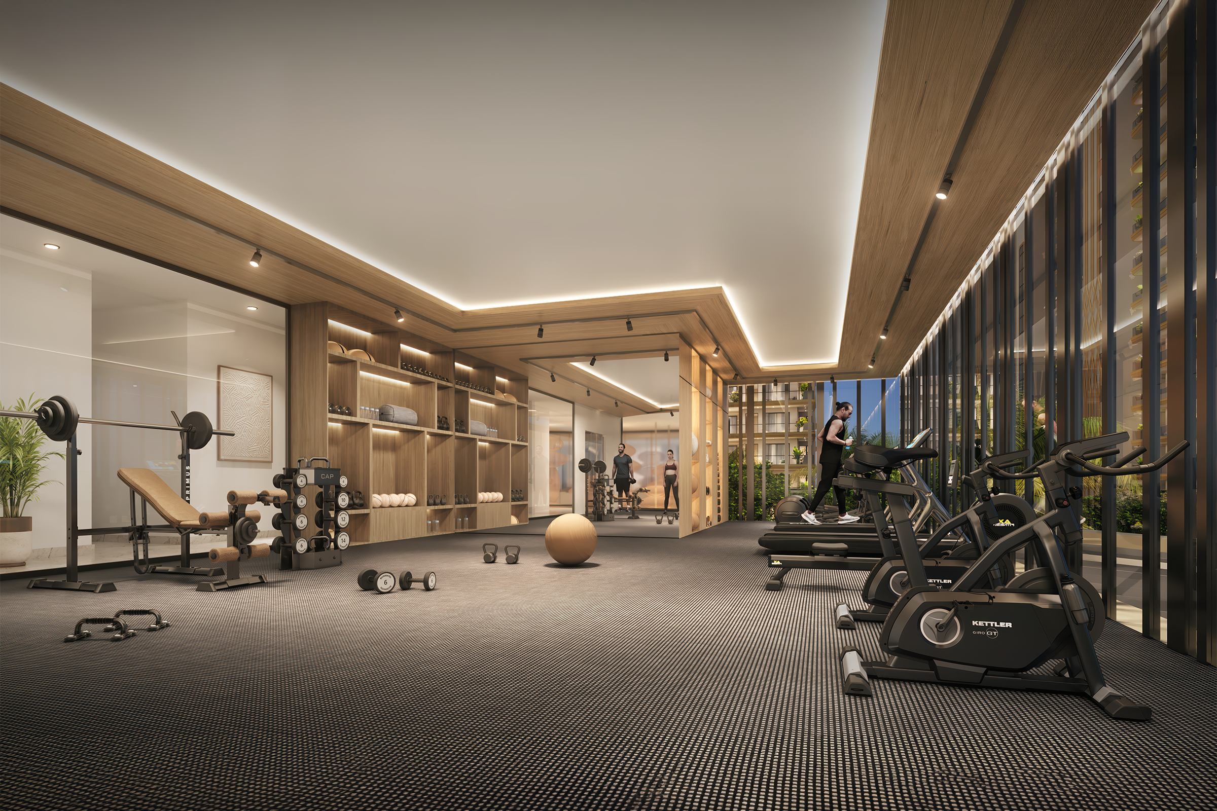 The gym